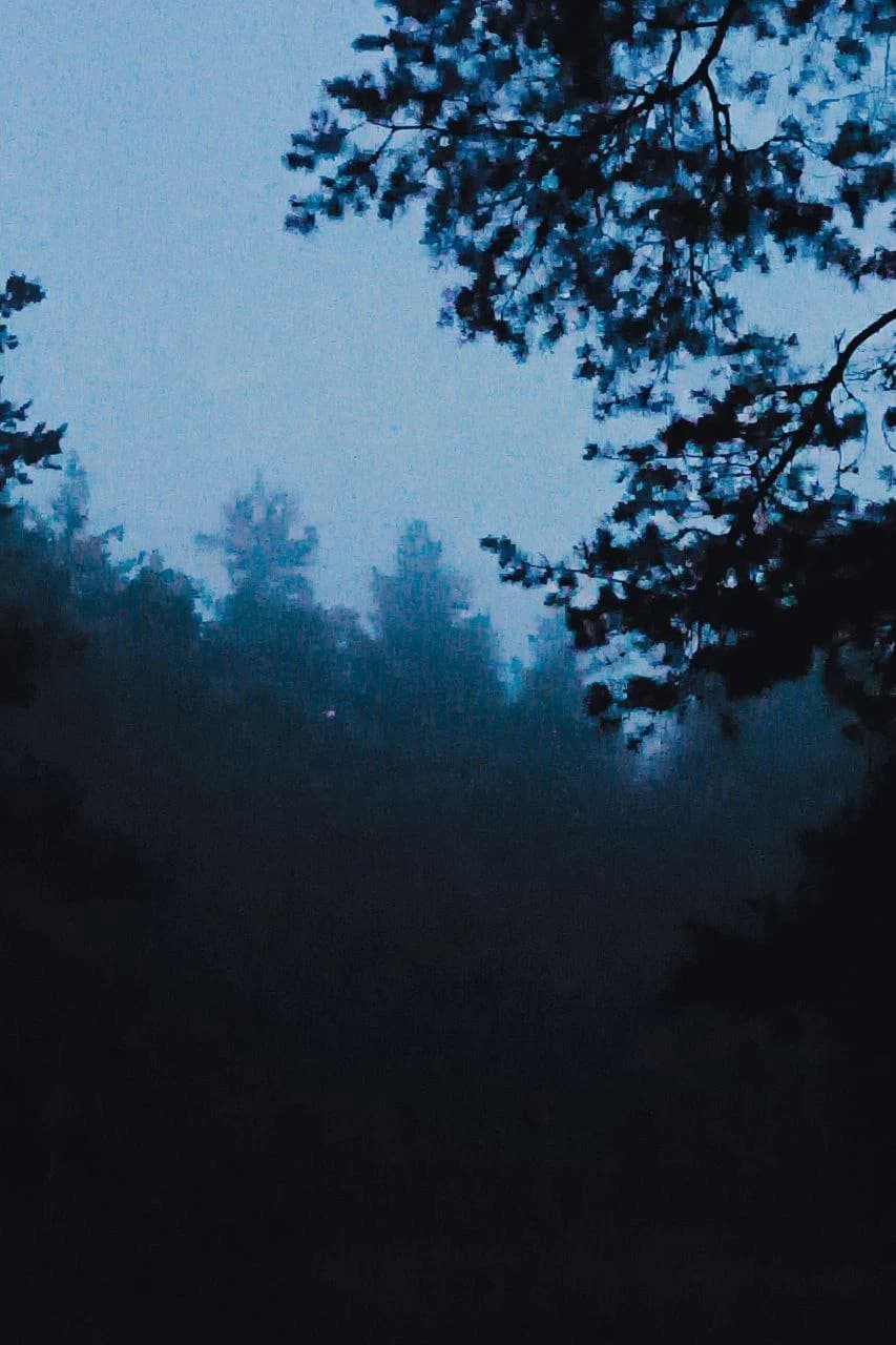 Фестиваль Вспышка — фото 13